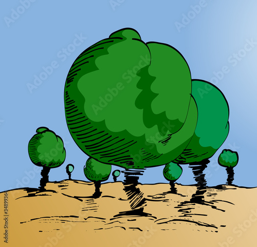 trees with blue sly background