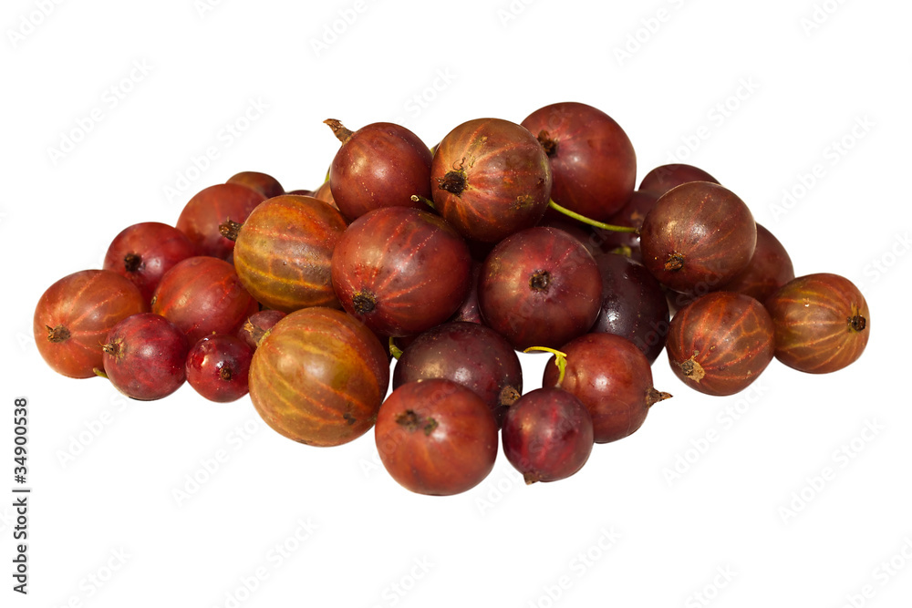 Obraz premium Red gooseberry