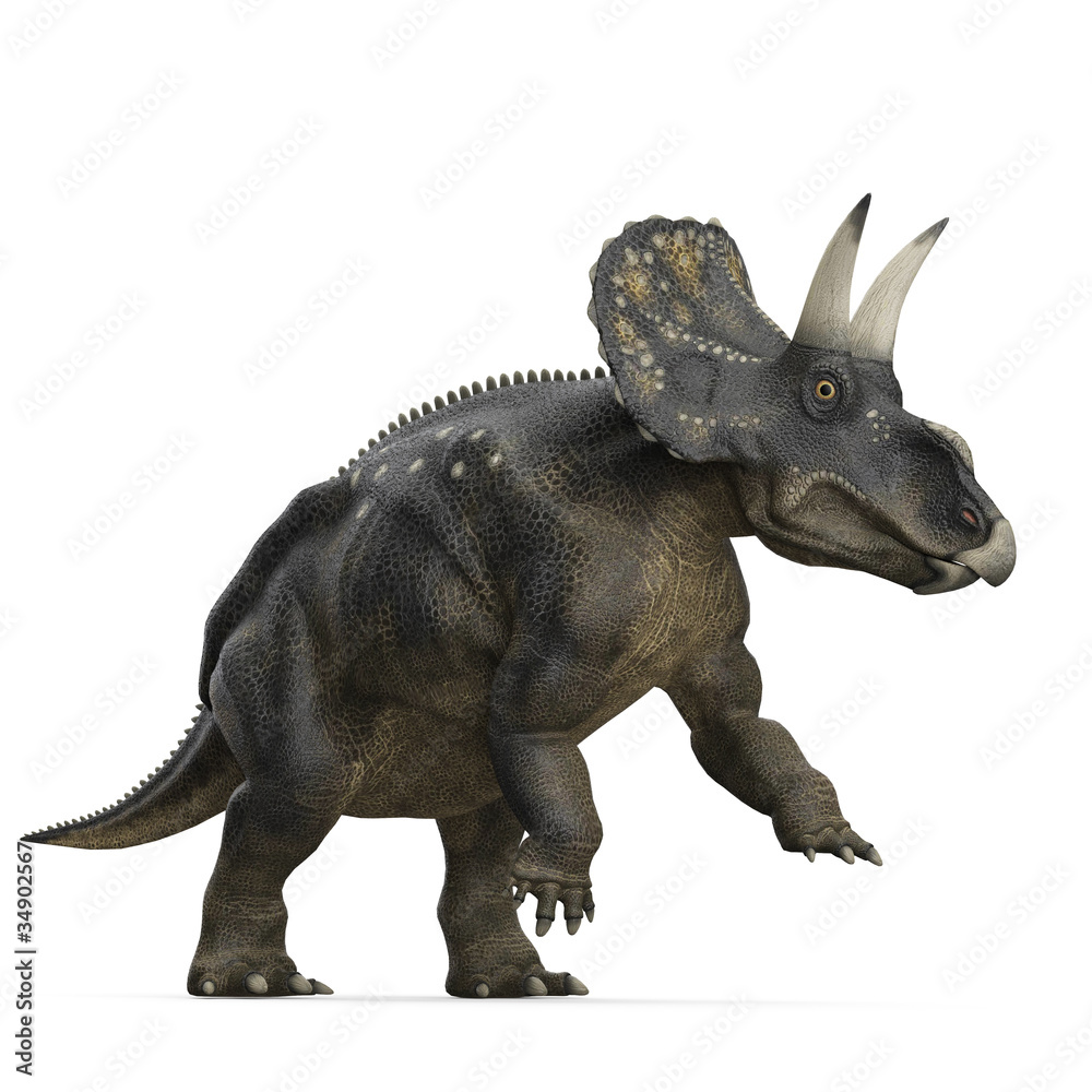 diceratops jump diceratops jump