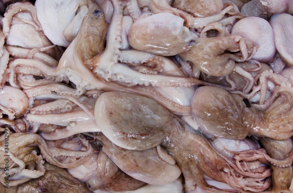 Raw octopus Raw octopus