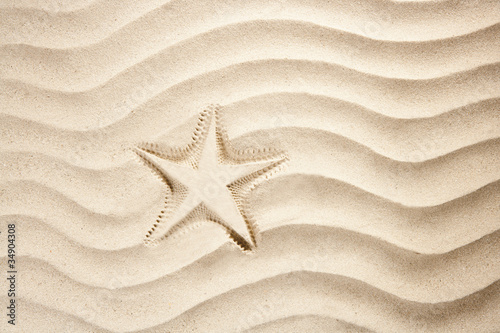 beach starfish print white caribbean sand summer