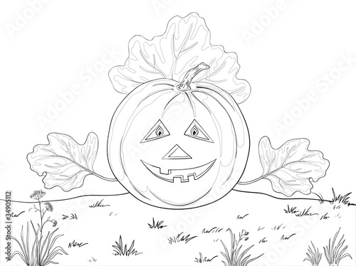 Pumpkin Jack O Lantern, contours