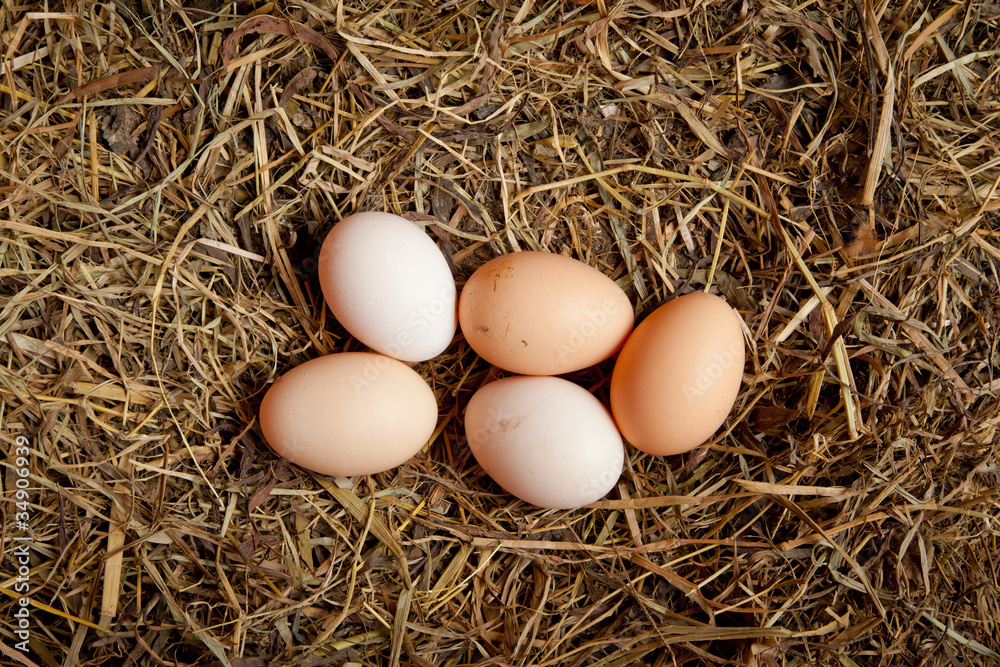 Five egg in hay