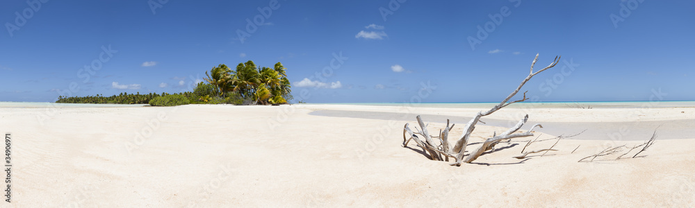 Dead wood on white sand beach panoramic view