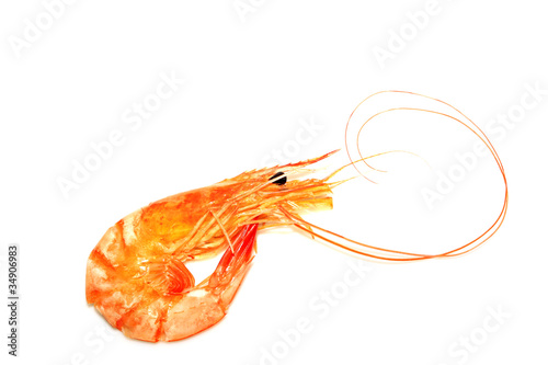 dried shrimp