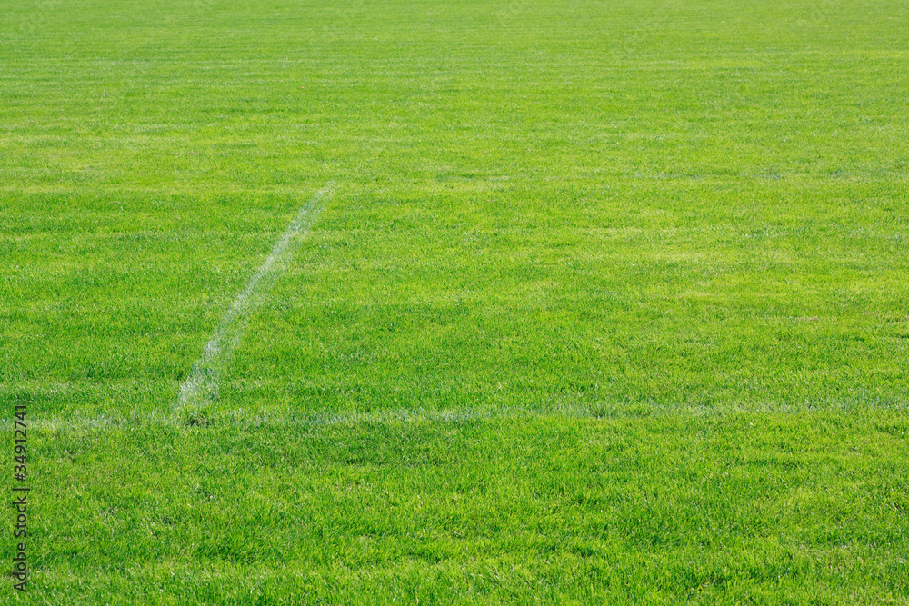 White line on a soccer field grass