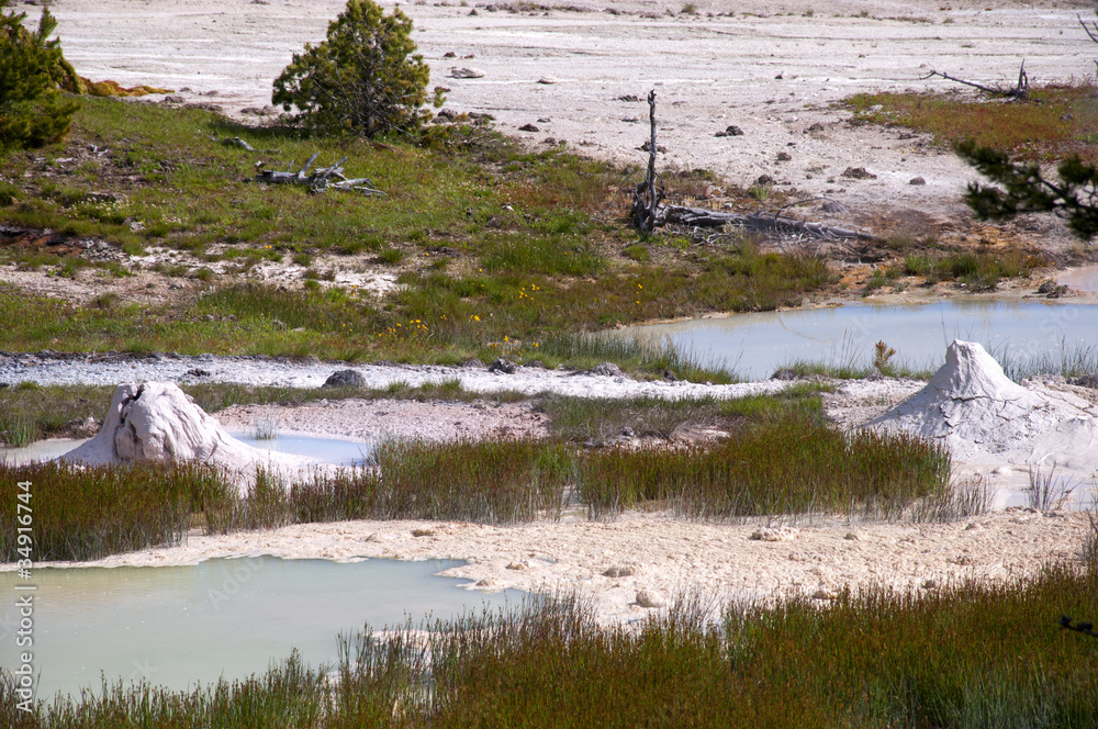 Geothermal pools in Yellowstone National Park,Wyoming USA