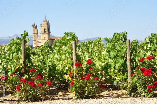 Rioja photo