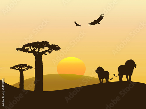 Ilustração - leões no deserto em África © Helder Sousa
