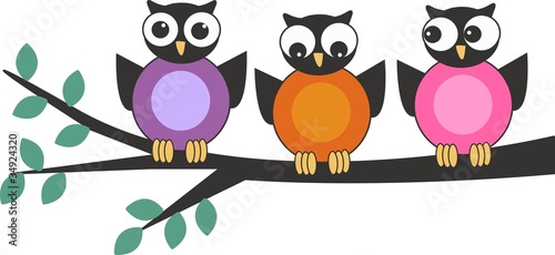 owls