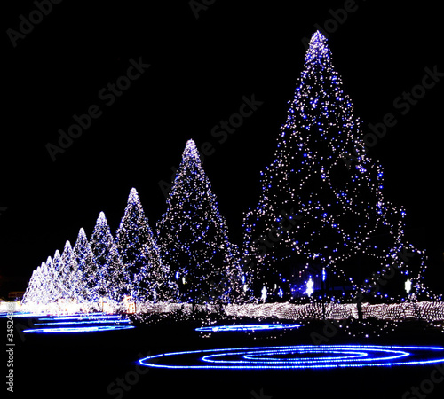 イルミネーション