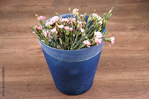 Carnation flower in garbage can photo