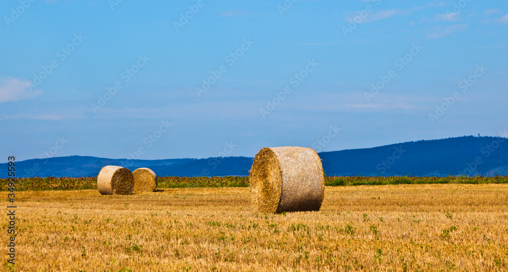 bale of straw on field