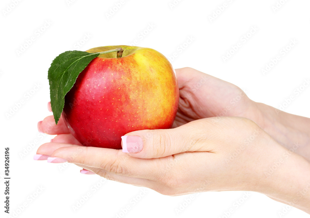 Woman hands holdig ripe organic apple isolated on white Woman hands holdig ripe organic apple isolated on white