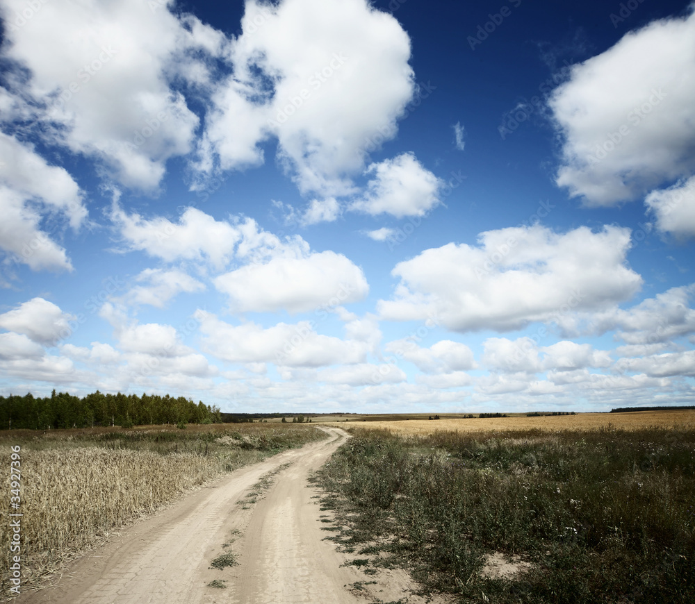 Countryside road in fields and blue sky with clouds