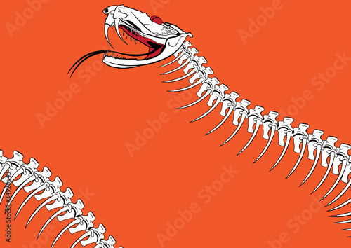 venomous snake