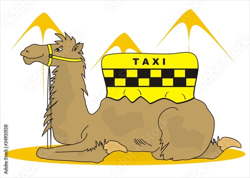 camel taxi