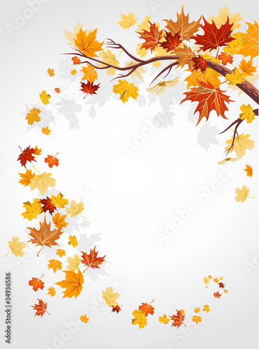 Autumn leaves swirl