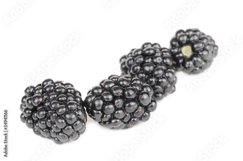 Blackberries Isolated on White Background