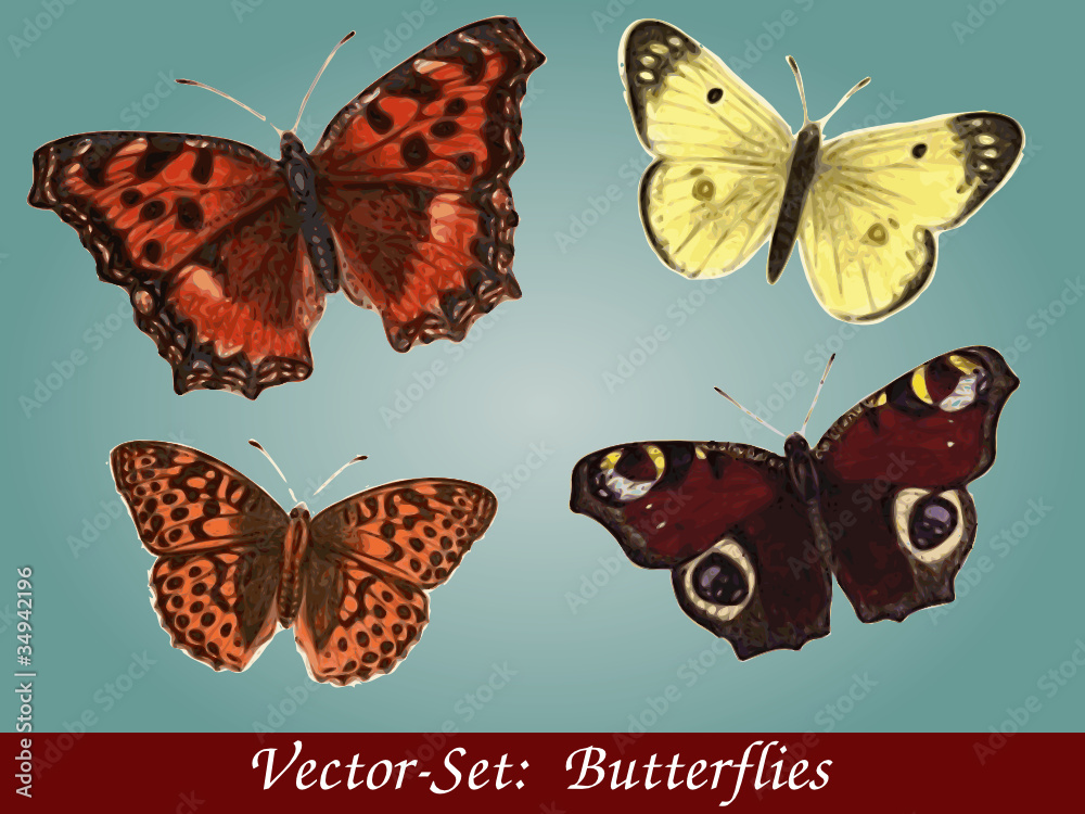 Naklejka Butterflies Vector-Set
