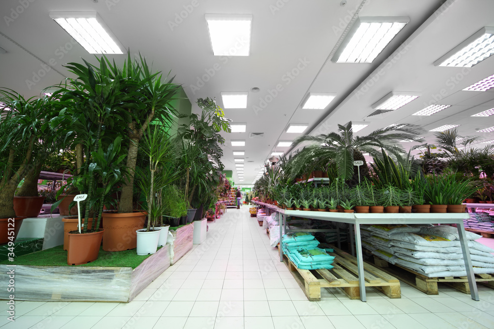 Shelves on both sides with variety of pottery plants inside shop