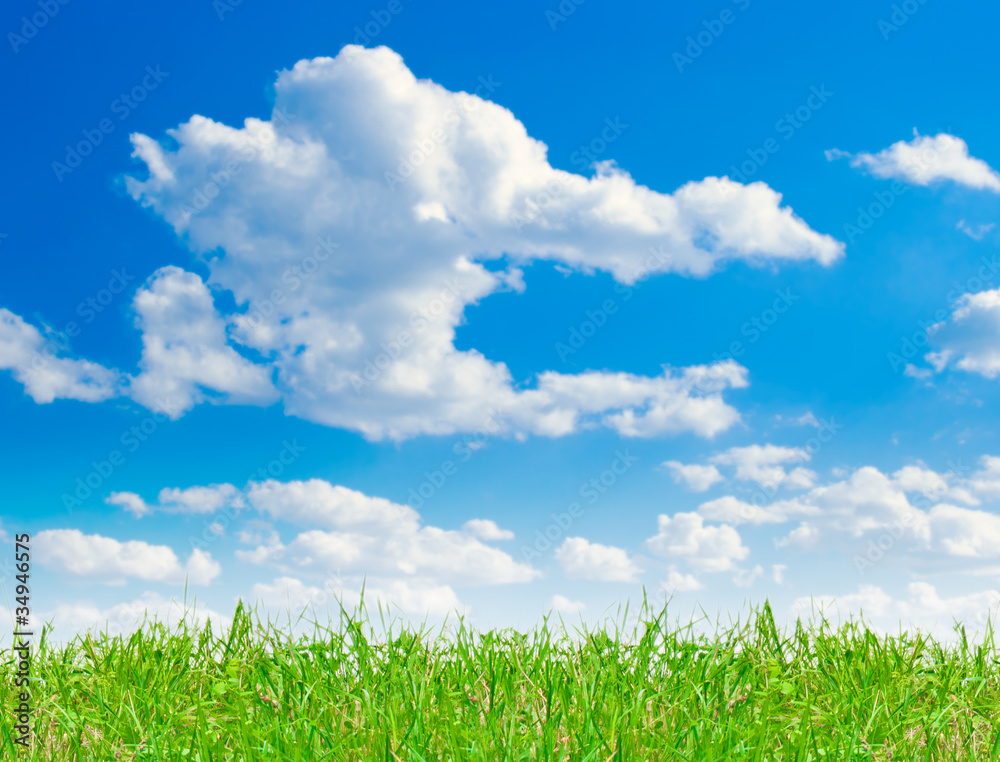 blue sky and clouds background with green grass blue sky and clouds background with green grass