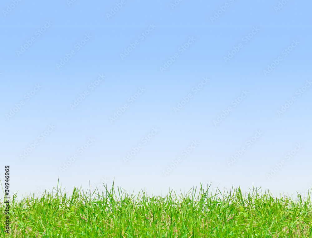 Clean blue sky background with green grass Clean blue sky background with green grass