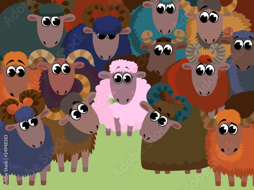 Love sheeps