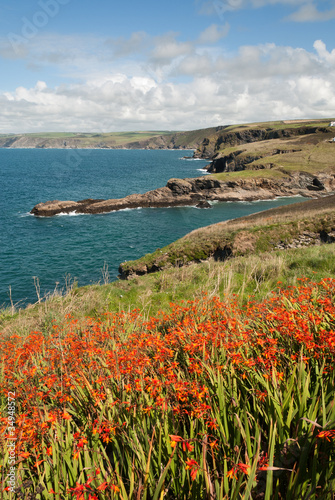 paesaggio sulla costa a Port Isaac in Cornovaglia