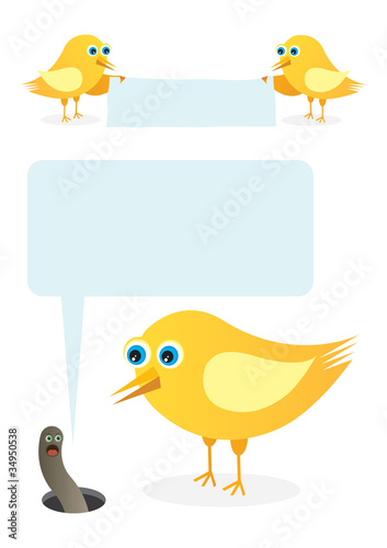 Birds talk message