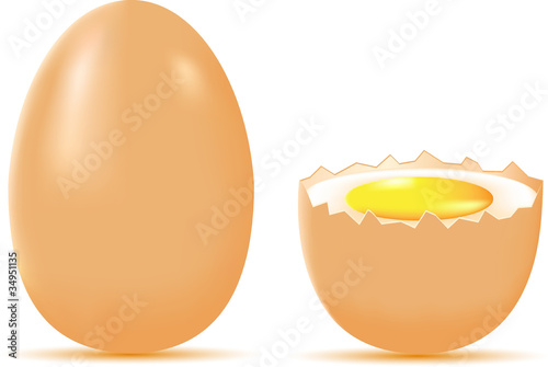 egg