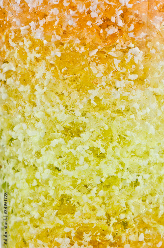 Plant and Flower Gel Plant and Flower Gel