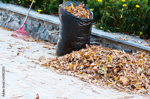 Cleaning of autumn leaves