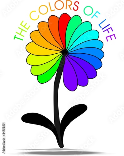 I colori della vita
