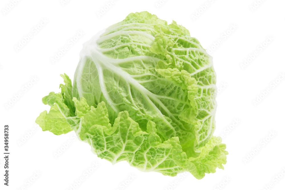 Chinese Cabbage Chinese Cabbage