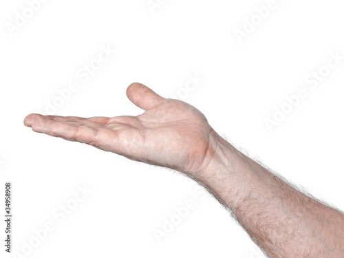 Wallpaper Mural male palm Torontodigital.ca