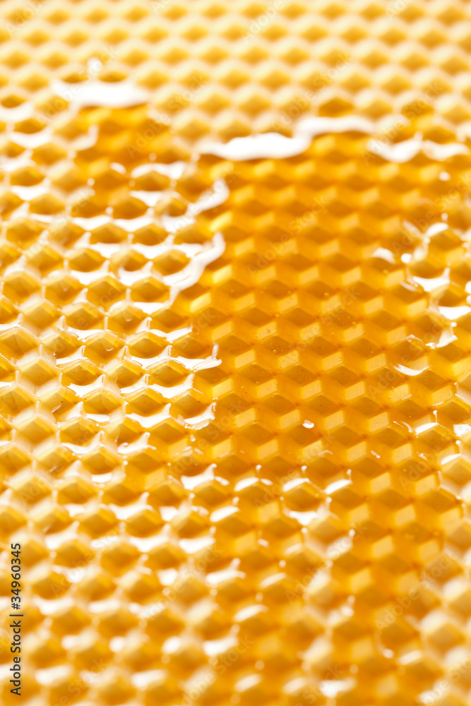 fresh honey in comb