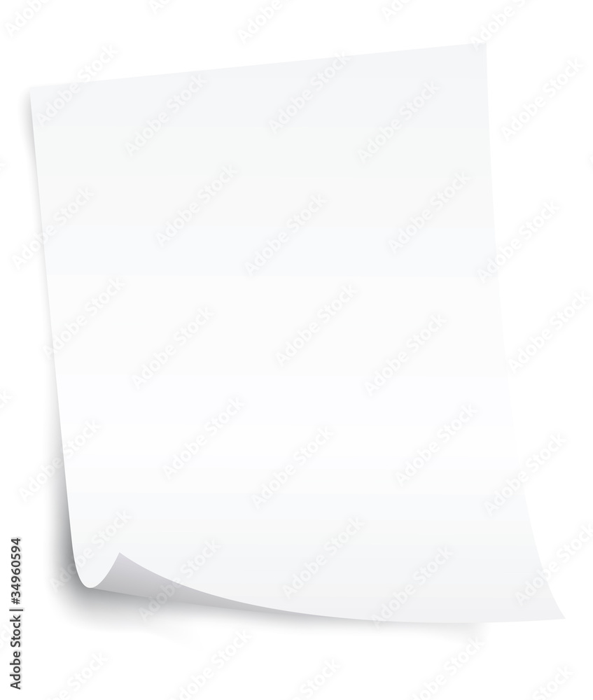 white blank paper sheet with curl corner vector white blank paper sheet with curl corner vector