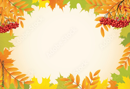 abstract autumn background with maple leaves and rowanberry vect
