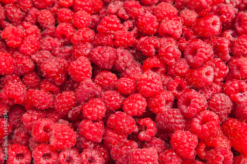 Rasberry background from many ripe berries close up, shallow dee