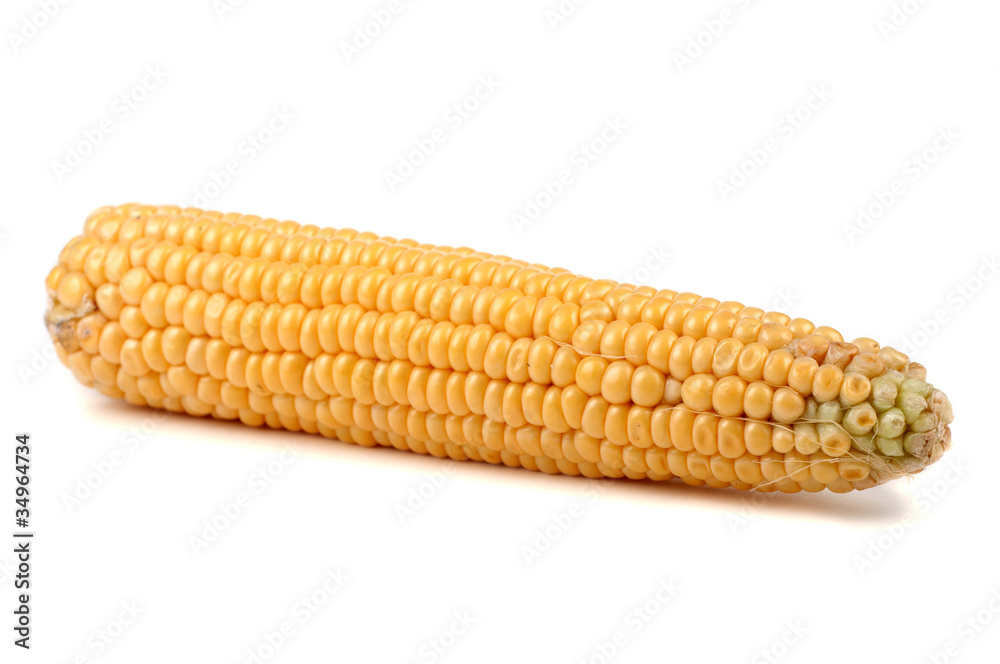 Corn Corn