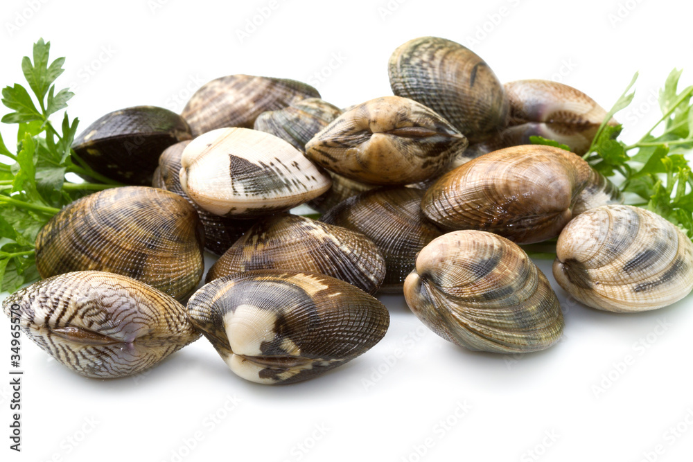 vongole veraci