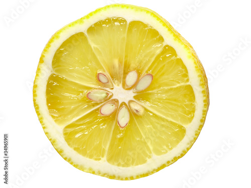 close up of a slice of lemon