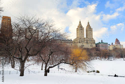 New York City Manhattan Central Park in winter