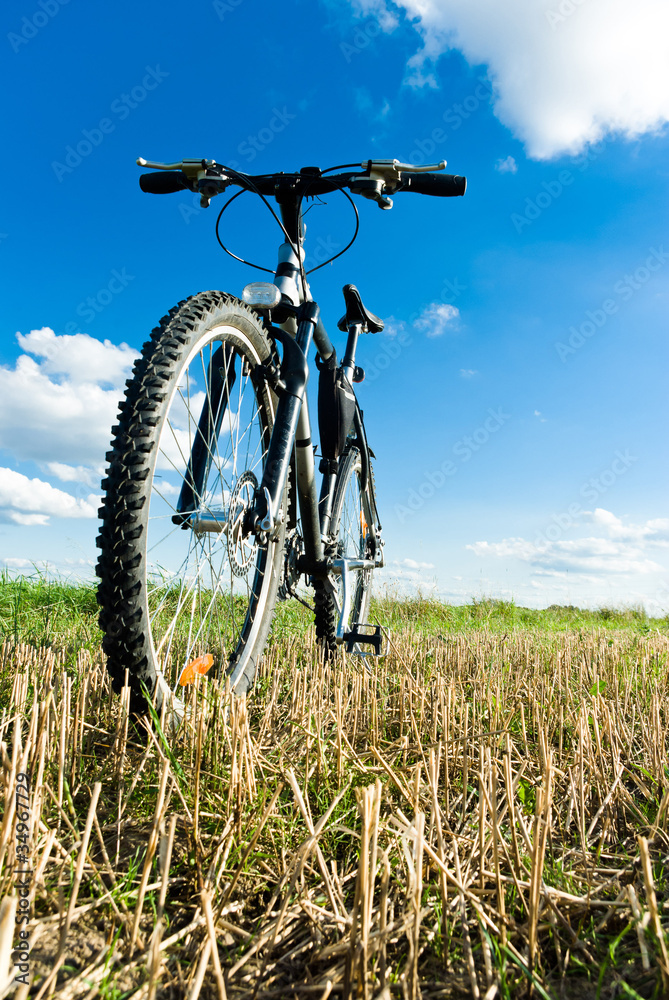 Fototapeta premium bike