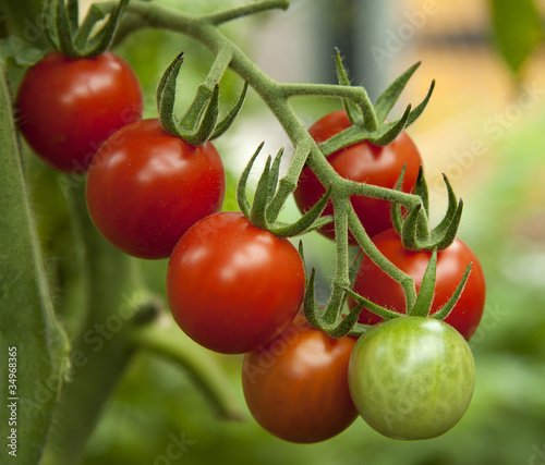 Cherry tomatoes