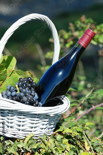 bottle of red wine photo