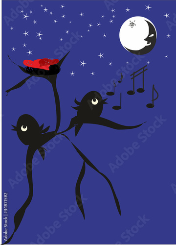 nocny śpiew
