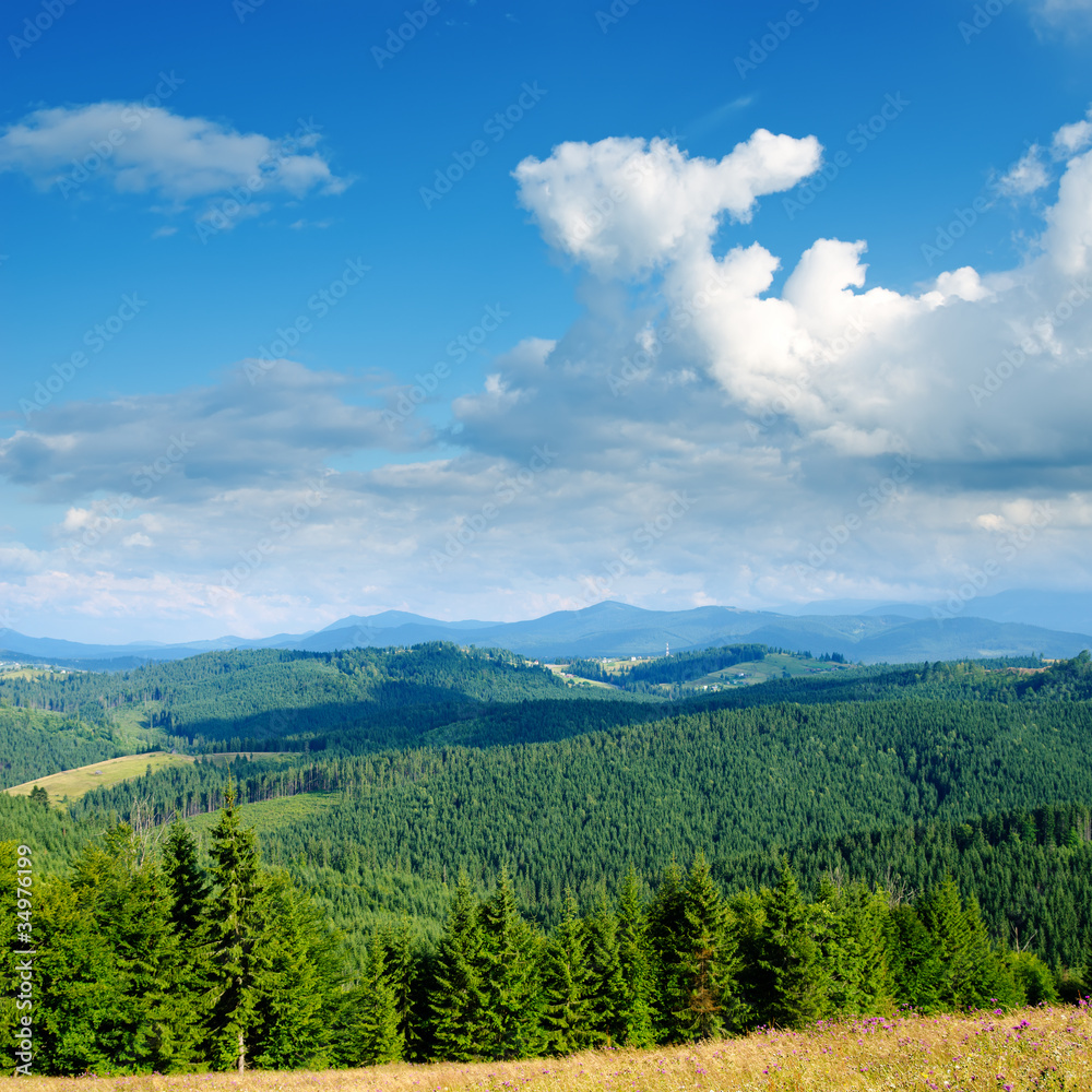 Beautiful green mountain landscape in Carpathians
