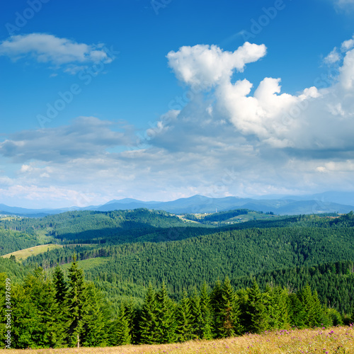 Beautiful green mountain landscape in Carpathians